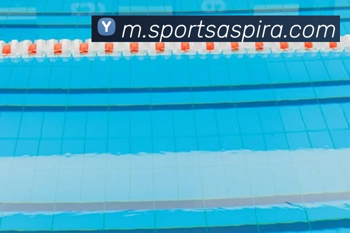 体育下注全站App